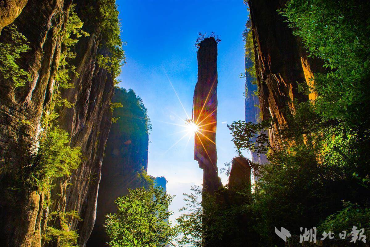 ttg登录地址